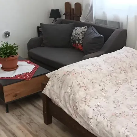 за гости пансионът на роуз вълшебната ми кръстница