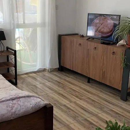 за гости пансионът на роуз вълшебната ми кръстница Проживание в семье