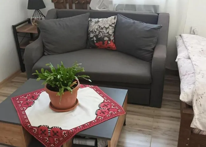 בית אירוח за гости пансионът на роуз вълшебната ми кръстница *