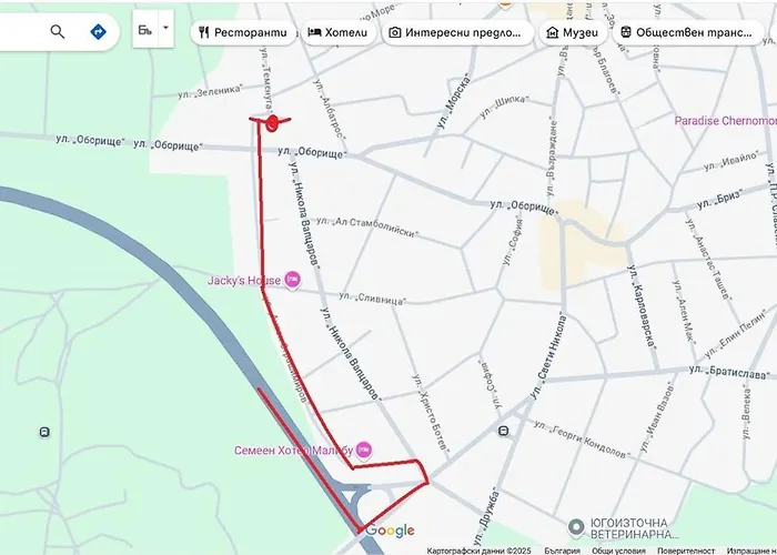 за гости пансионът на роуз вълшебната ми кръстница בית אירוח *