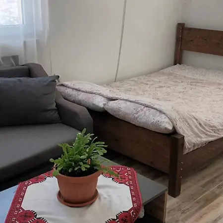 за гости пансионът на роуз вълшебната ми кръстница Homestay Chernomorets